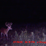 MDGC0244.JPG