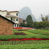 Rivière Li, entre Yangshuo et Puyi