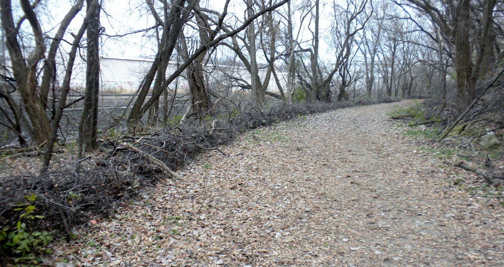 [DSCN272112.jpg]