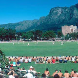 Newlands Cricket Ground when sitting 'under the oaks' meant exactly that.