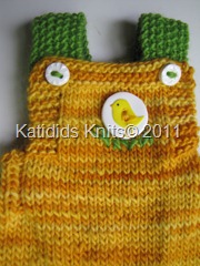 Chicklet overalls 021