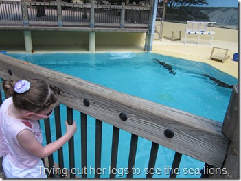 Trying out her legs to see the sea lions