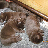 IMG_1236.JPG
