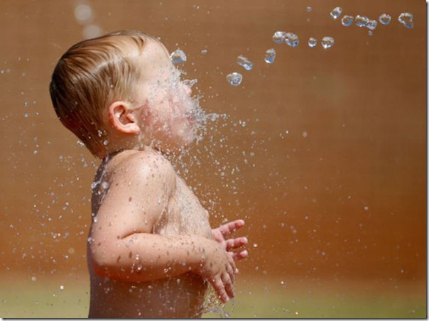 Belas imagens do verão (18)