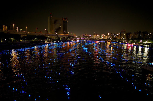 tokyo-hotaru-02-terapixel.jpg