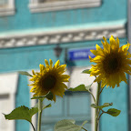 sonnige Seite Ulan Bators