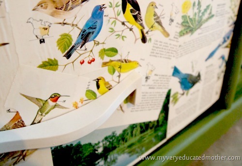 birddrawer #modpodge #dresser #crafting #furniture birddrawer #modpodge #dresser #crafting #furniture