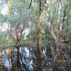 IMG_7873.JPG