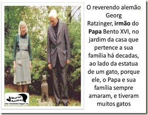 papa_ama_gatos (3)