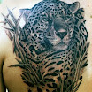 Leopard #1