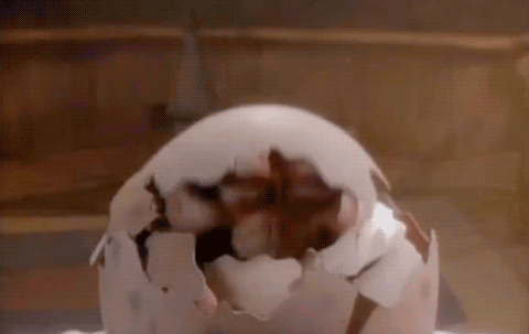 [tumblr_ldukwkyl1M1qa48wxo1_500%255B5%255D.gif]