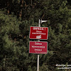 dsc07498.jpg