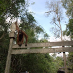 Welch nette Begrüssung!