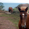 Costa Cantabra 1º etapa
