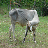 DSC05354.JPG