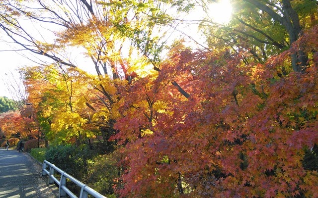 [IMG_20131130_134056%255B4%255D.jpg]