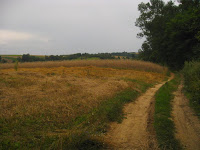 drogą Photo