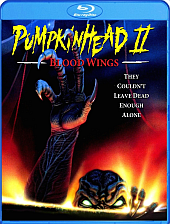 pumpkin pumpkin