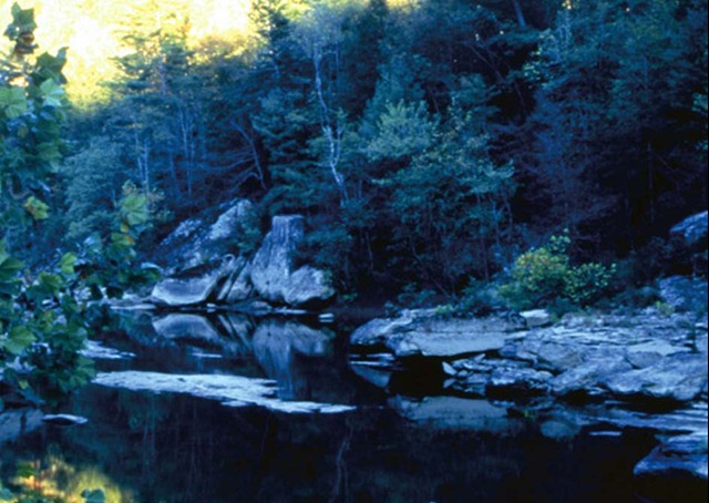 [big-south-fork-cyclists%255B4%255D.jpg]