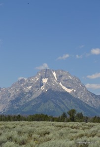 Mt. Moran