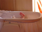 L1010760 (WinCE).JPG