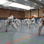 H25D2959.JPG