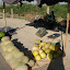 Hami - Etal melon et pasteque bord de la route