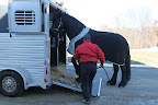...and they head to the vet when necessary (here, Meindert arrives for a bone scan after a spill -- everything checked out fine.)..