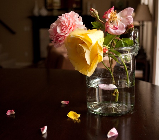 [DSC_0156%255B4%255D.jpg]