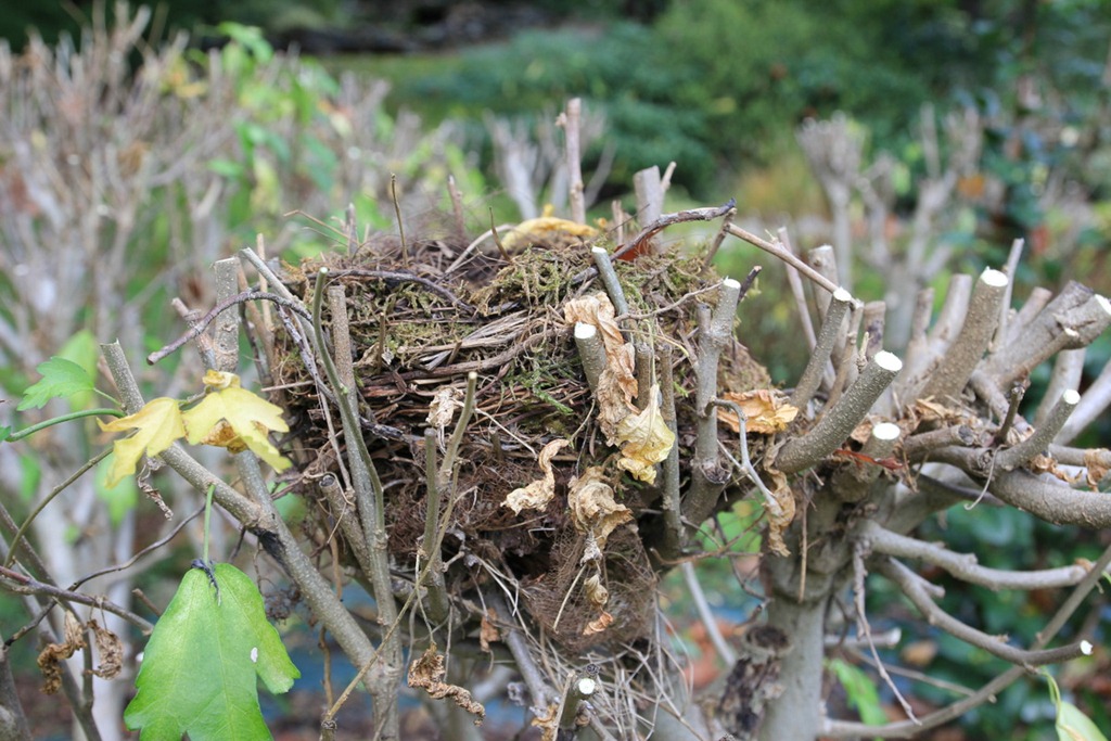 [IMG_9528%255B3%255D.jpg]