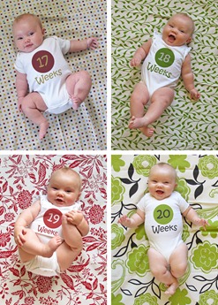 Nora Week 17 thru 19 collage