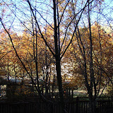 26.10.2008 Sony H-9 Nature