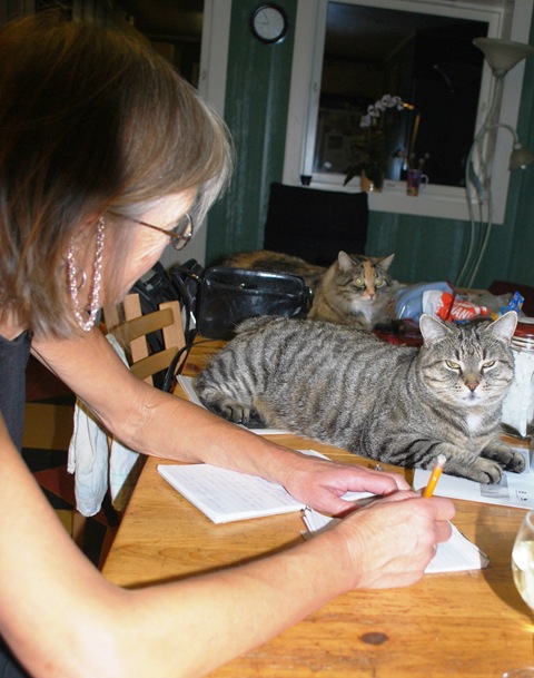 [Fall%25202011%2520-%2520Kitchen%2520Cats%2520-%2520Anna%2520Writer%255B6%255D.jpg]