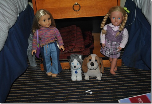 DSC_1217 DSC_1217