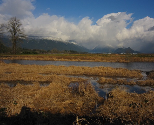 [IMG_6841%255B3%255D.jpg]