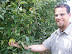 Picking Apples
