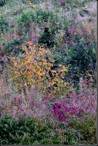 2012-10-19 16.45.15