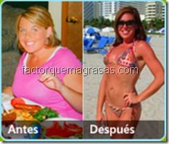 opiniones sobre el factor quema grasa opiniones sobre el factor quema grasa