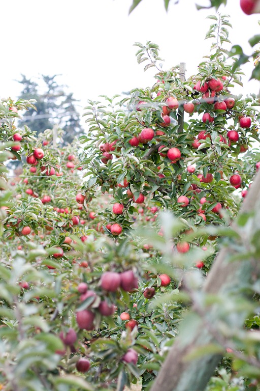 [20121011-IMG_06703.jpg]