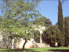 p1255469048(7).jpg