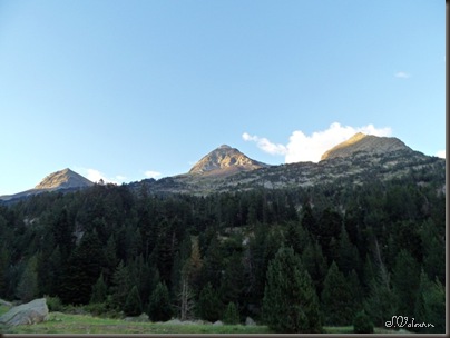 SAM_0420 SAM_0420