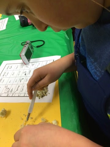 [IMG_1616%255B5%255D.jpg]