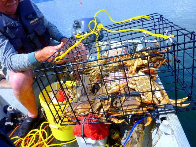[P1020128-14.jpg]