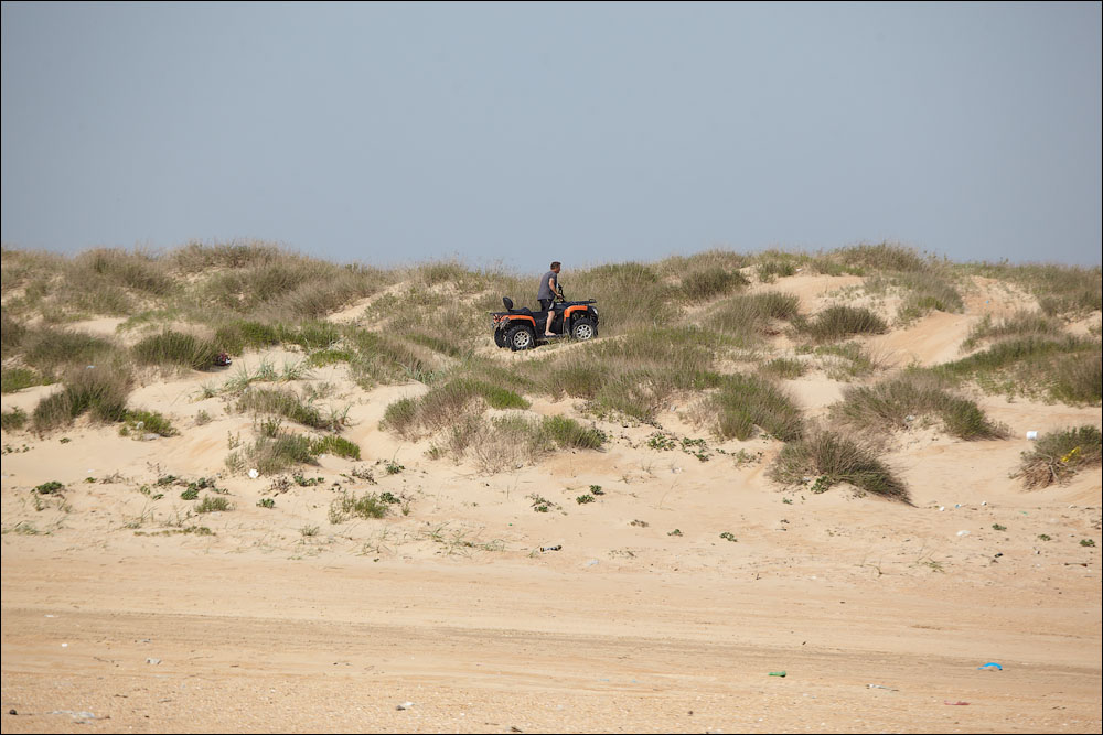IMG_3639.jpg