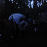 DSC02608.JPG