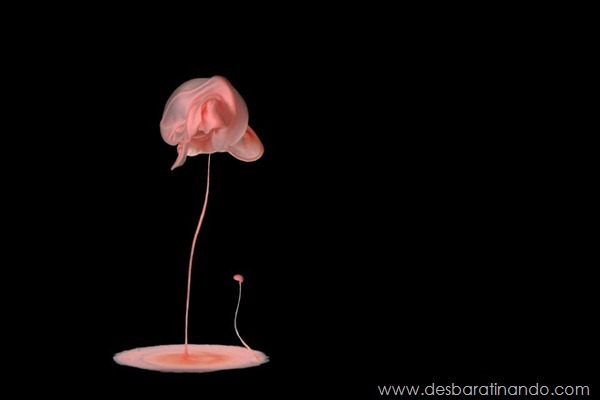 liquid-drop-art-gotas-caindo-foto-velocidade-hora-certa-desbaratinando (251) liquid-drop-art-gotas-caindo-foto-velocidade-hora-certa-desbaratinando (251)