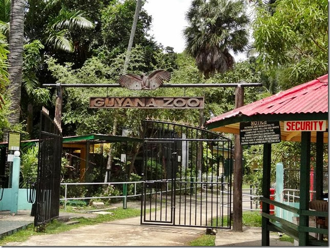 Guyana_Zoo_DSC07043