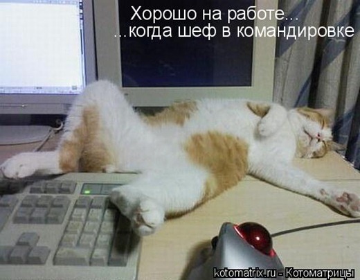 [clip_image003%255B3%255D.jpg]