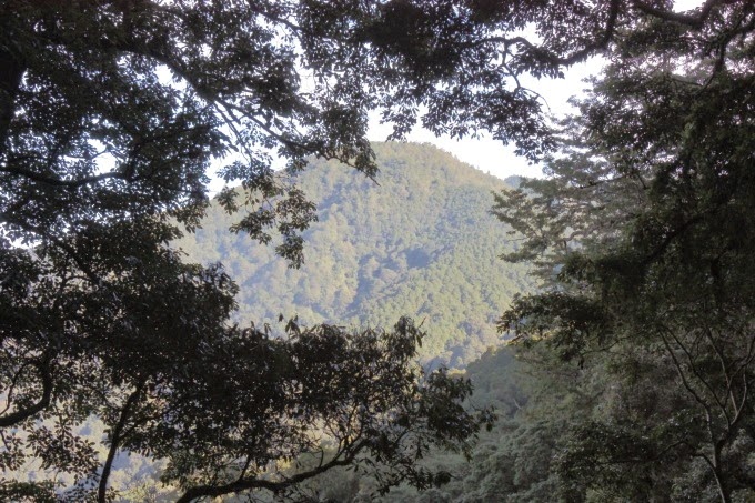 2014_1005_080606 2014_1005_080606