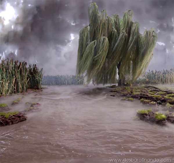 diorama-strange-worlds-new-life-matthew-albanese-2 diorama-strange-worlds-new-life-matthew-albanese-2